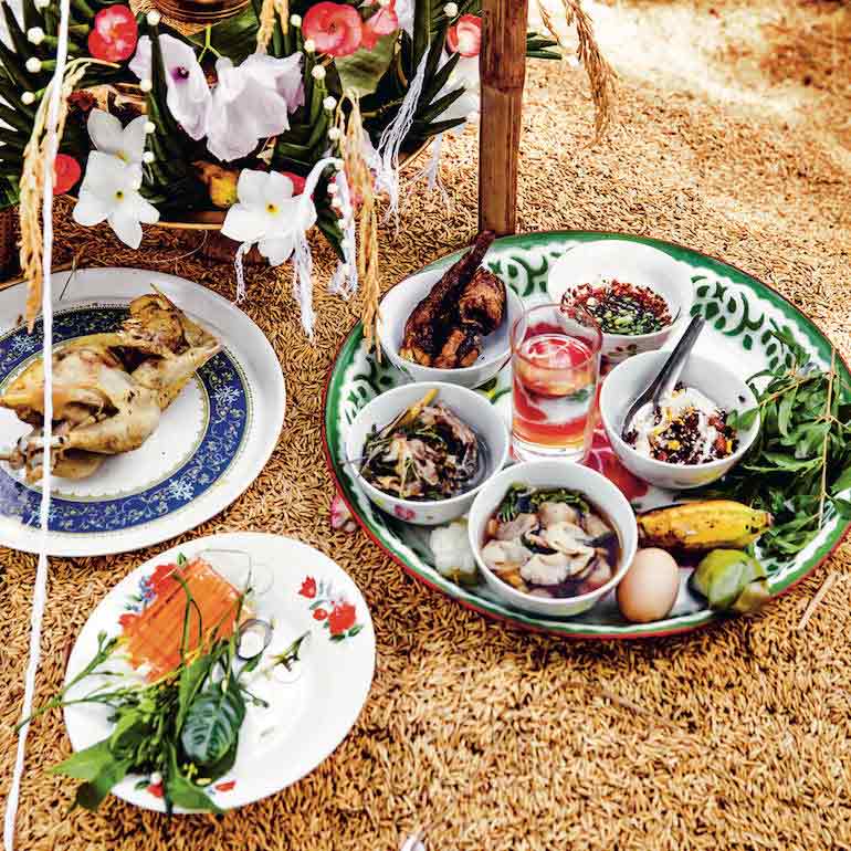 Boerenverstand in Thailand samen met Fairtrade