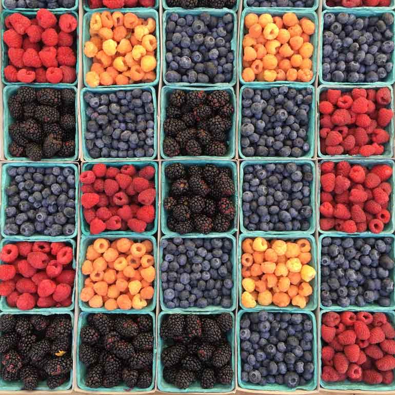 Rood fruit kan de hele dag!