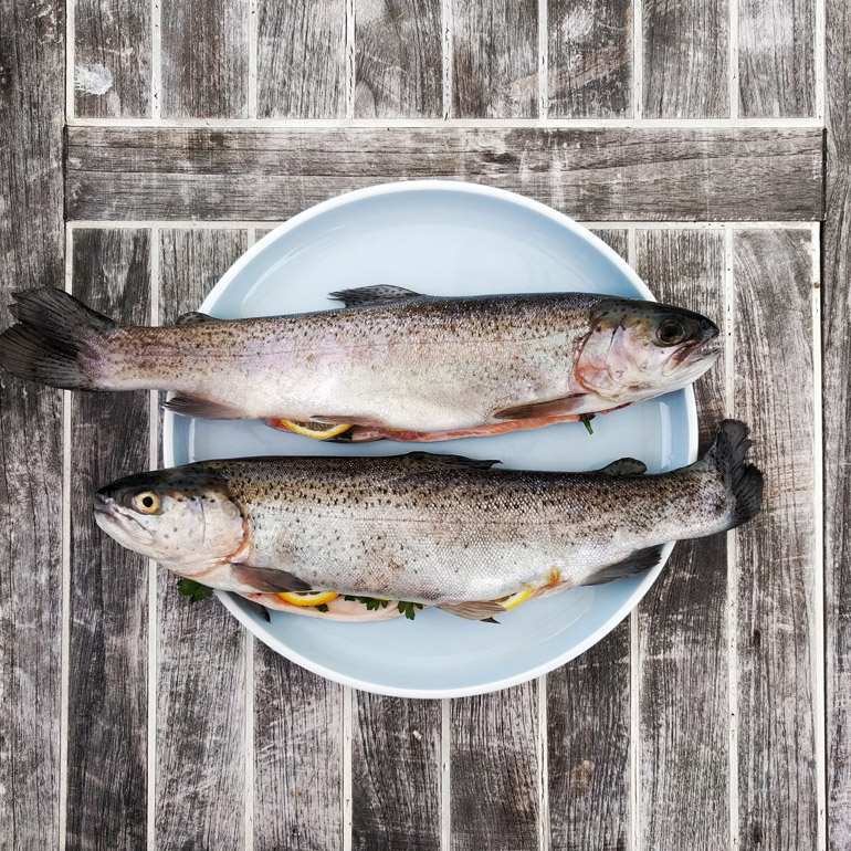 ​10 redenen voor ’n portie zalm